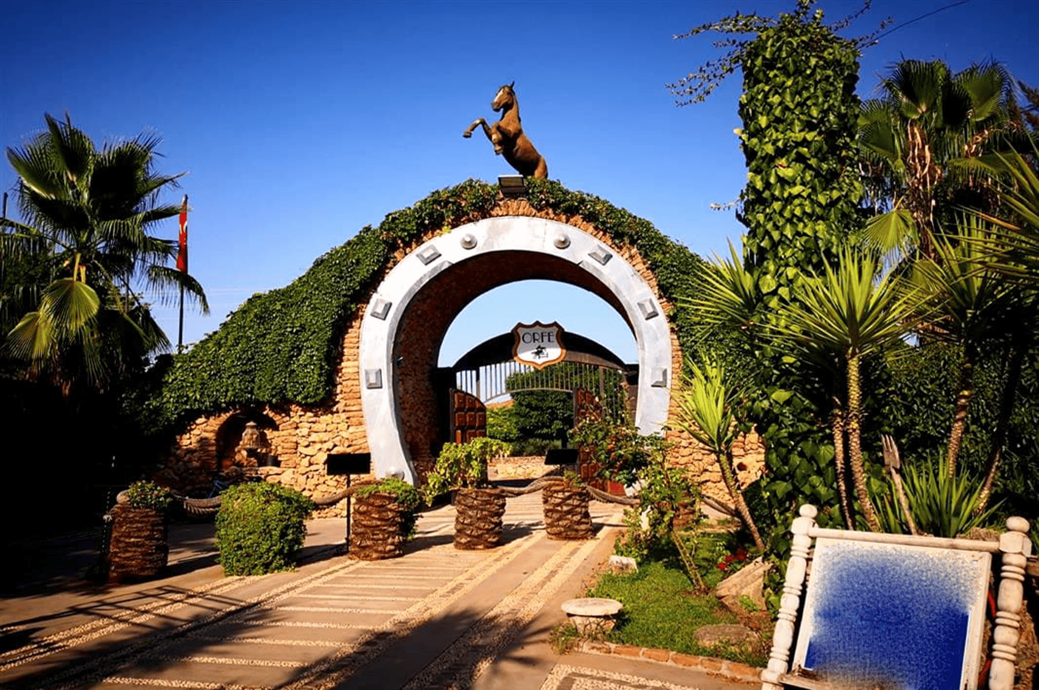 Orfe At Çiftliği